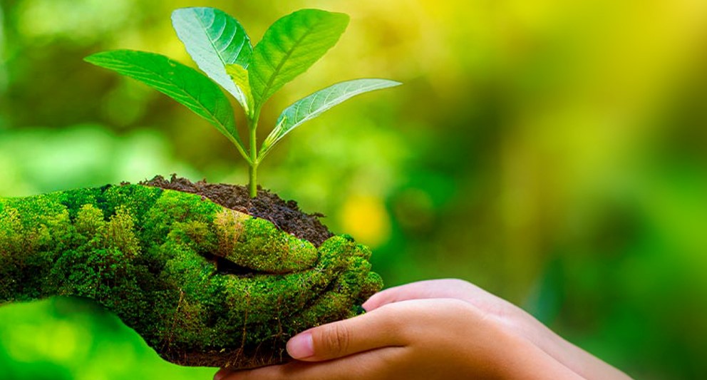 Integrate Sustainability into Corporate Strategy