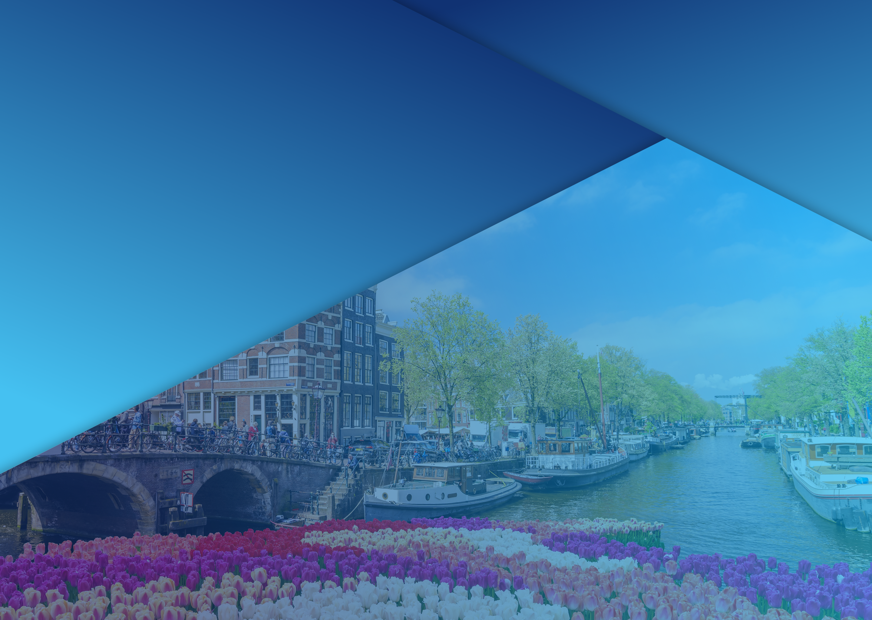 Courses in the Netherlands