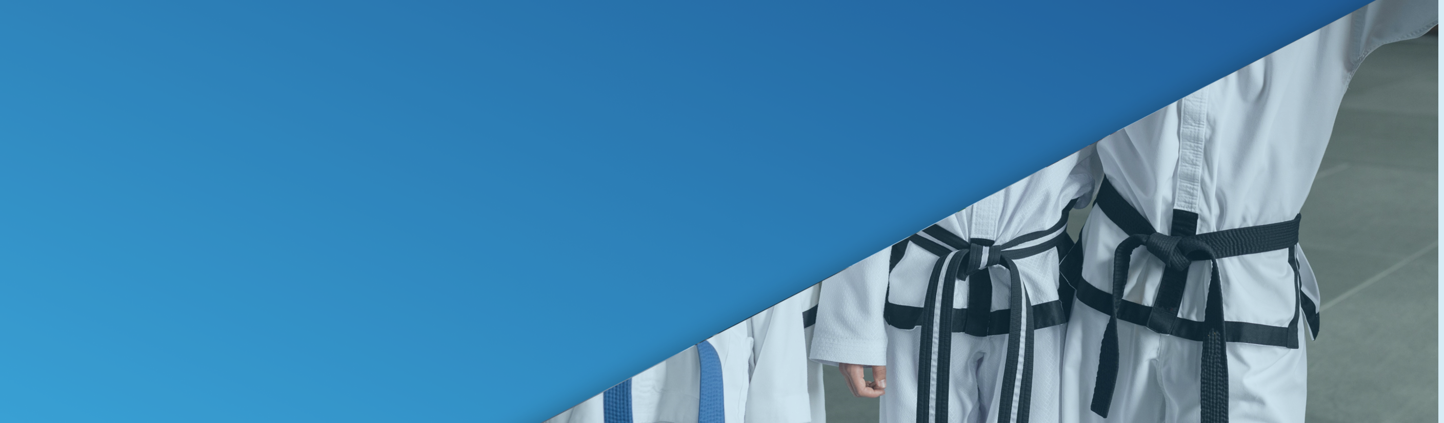 Lean Six Sigma belts