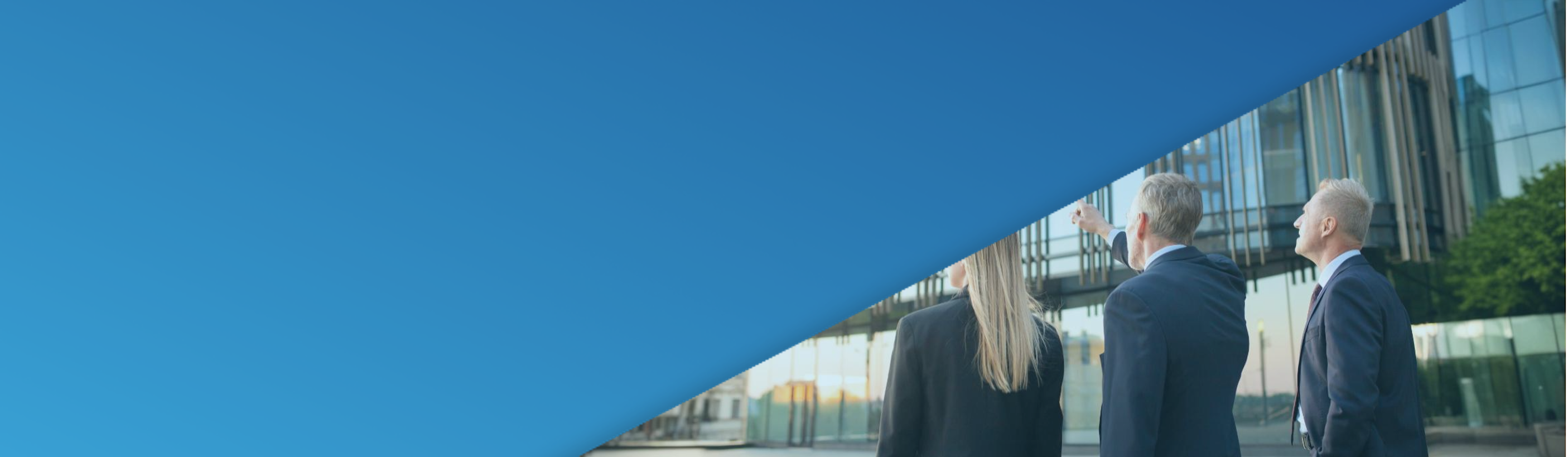 Consultoria em Fusões e Aquisições