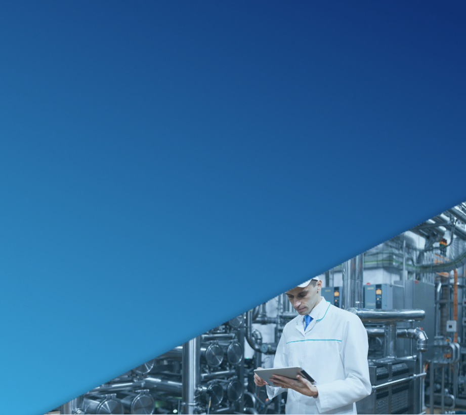 Process Manufacturing Consulting